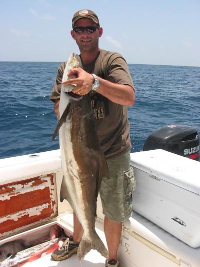 nice cobia